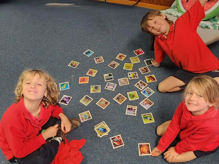 students seated on the floor around a set of colourful cards with images of animals on them.